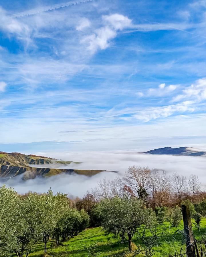 La Luna Sul Trebbio Modigliana Eksteriør bilde